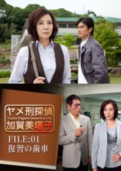 Touko Kagami Detective File FILE:01 (2011) poster