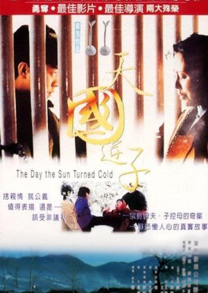 The Day the Sun Turned Cold (1995) poster