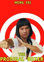 The Prodigal Boxer Taiwanese Movie photo