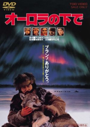 Under Aurora (1990) poster