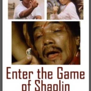 Enter the Game of Shaolin Bronzemen (1979)