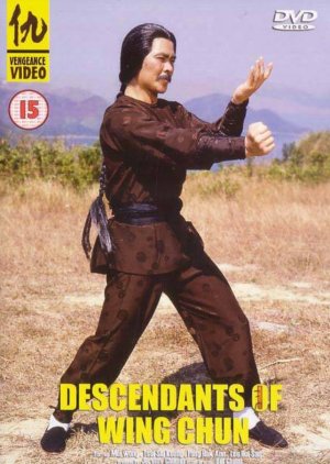 The Descendant of Wing Chun (1978) poster