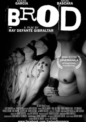 Brod (2010) poster