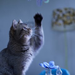 The Door into Summer Japanese Movie photo