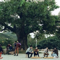 Going Rural Chinese Drama photo