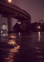 Night Cruise Japanese Movie photo