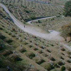 Mother Korean Movie photo