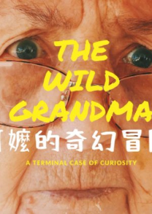 The Wild Grandma () poster