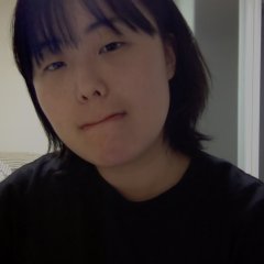 Fanatic Korean Movie photo