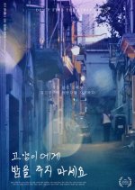 Don't Feed The Stray Cats Korean Movie photo