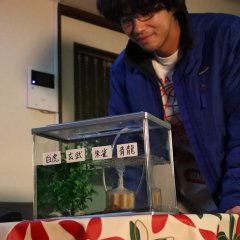 On Nights When I Want to End It All... Japanese Drama photo