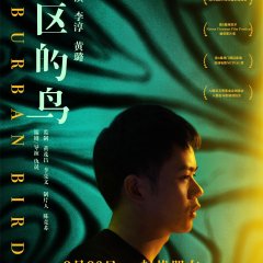 Suburban Birds Chinese Movie photo