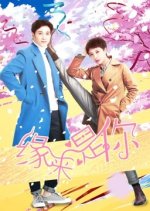 Bounce Chinese Movie photo