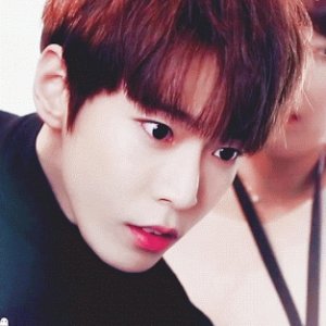 Kamisama no Boto  (2013)