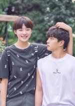 Hello, My Twenties! Season 2 Korean Drama photo