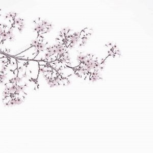 Kamisama no Boto  (2013)