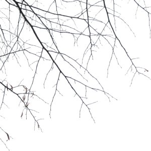 Kamisama no Boto  (2013)