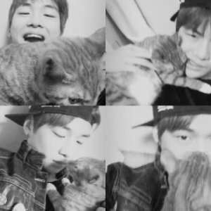 Kamisama no Boto  (2013)