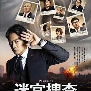 Kamisama no Boto  (2013)