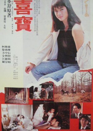 The Story of Hay Bo (1988) poster