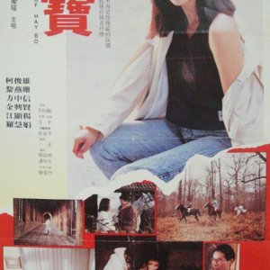 The Story of Hay Bo (1988)