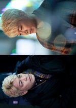 Boogie Nights Korean Movie photo