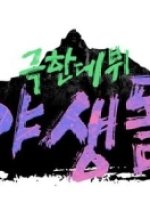 Extreme Debut: Wild Idol Korean TV Program photo