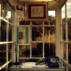 The Phone of the Wind: Whispers to Lost Families Japanese TV Program photo