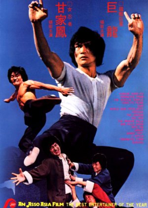 The Dragon's Snake Fist (1979) poster
