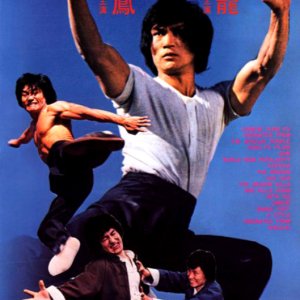 The Dragon's Snake Fist (1979)