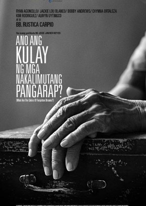 Ano ang kulay ng mga nakalimutang pangarap? (2013) poster