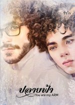 You Are My Arm Thai Movie photo