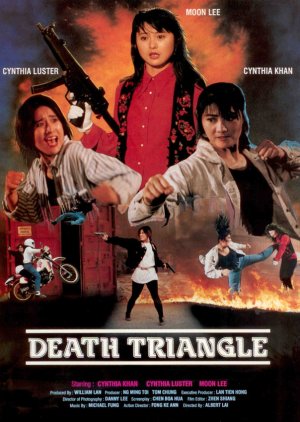 Death Triangle (1993) poster