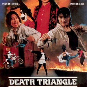 Death Triangle (1993)