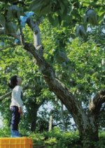 Meteor Korean Movie(2017) photo