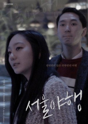 Midnight in Seoul (2016) poster