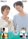 Love Place: Shiawase no Katachi japanese movie review