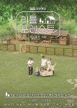 Little Forest korean drama review