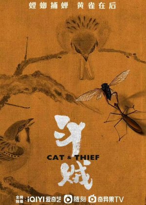 Cat & Thief () poster