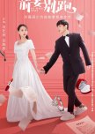 Ex-Wife Stop chinese drama review