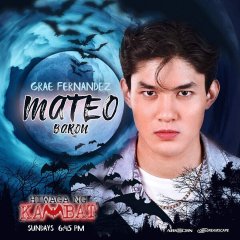 Mystery of the Twin Bat Philippines Drama photo