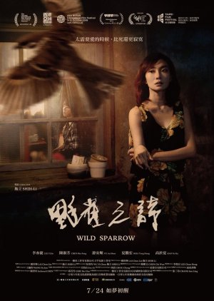 Wild Sparrow