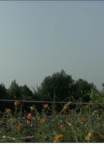 Blossom Korean Movie(2007) photo