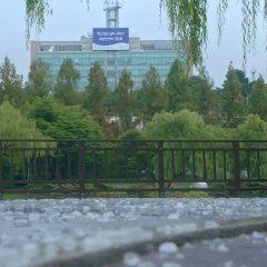 Forecasting Love and Weather Korean Drama photo