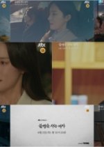 Drama Festa: Schadenfreude Korean Drama photo