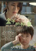 Secrets of the Box Chinese Movie photo