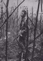 The Last Words From A Comrade In Arms Korean Movie photo