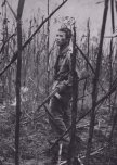 The Last Words From A Comrade In Arms