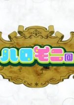 Haromoni Japanese TV Program photo