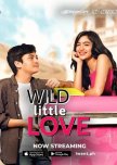 Wild Little Love philippines drama review
